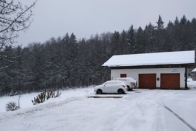 Wohnung Falkenstein