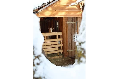 Romantik Heidi Hütte by FeWo-Plan