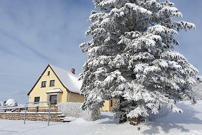 Vakantiehuis Ontspannende vakantie Muldenhammer