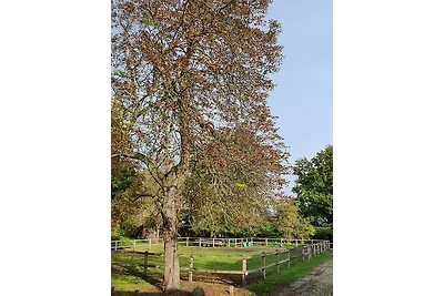 Vakantieappartement Gezinsvakantie Nuthe-Urstromtal