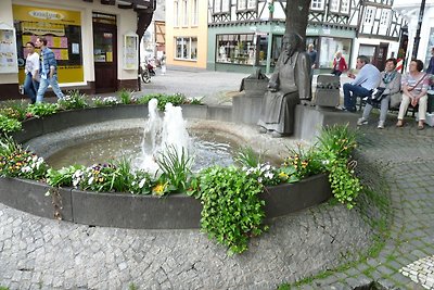 Vakantieappartement Gezinsvakantie Linz am Rhein