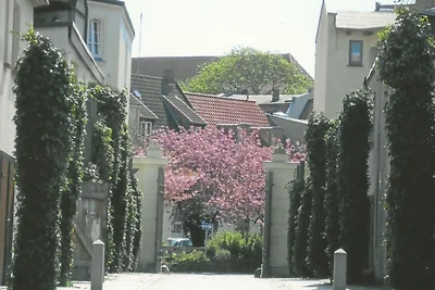 Altstadtsonne 2 - ABC35 - nur