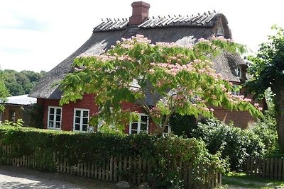 Ferienhaus Vollandt