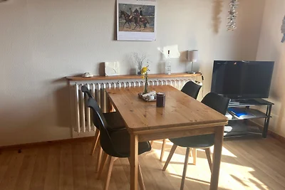 Vakantieappartement Gezinsvakantie Alkersum