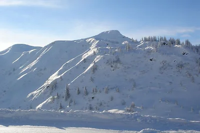 Chaleturlaub Brechhorn Premium by