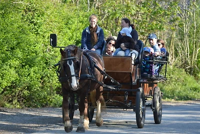 Vakantieappartement Gezinsvakantie Burg auf Fehmarn