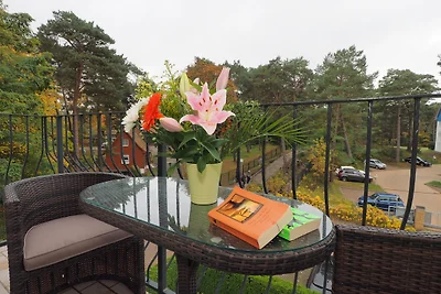 (Brise) Appartement-Suiten