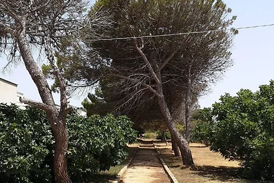 Casa de vacaciones Vacaciones de reposo Lecce