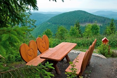 Vakantieappartement Gezinsvakantie Hahnenklee