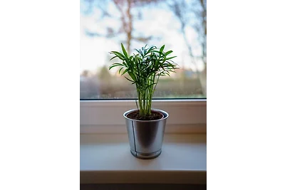 MeerZeit - Sünnenkieker WE4 -