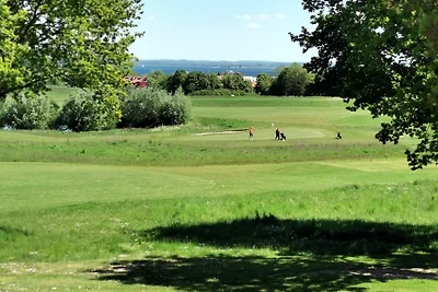 Schwanensee No. 23 - Aurora Vista -