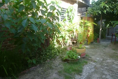 CASA DOCTORA NANCY Y JESUS