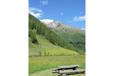 Vakantiehuis Ontspannende vakantie Außervillgraten