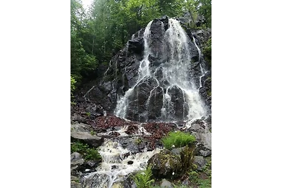 Bergrauschen - Waldbude
