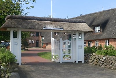 Seemöwe 5 Herrenhof