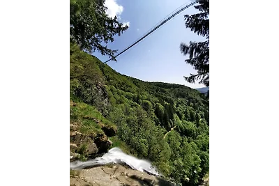 Ferienwohnung Auch am Berg