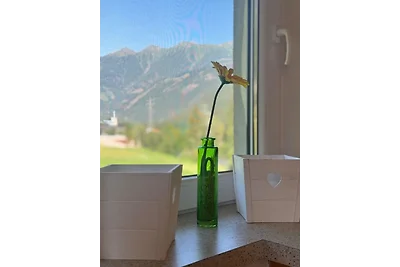 Direkt am Fluss und im Mölltal!