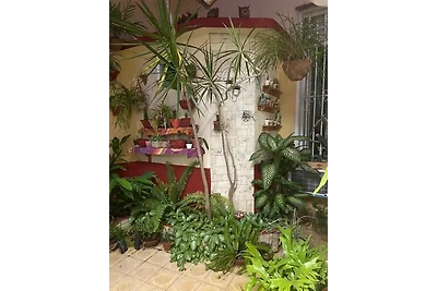 Appartamento Vacanza con famiglia Camaguey