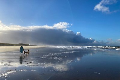 Vakantiehuis Ontspannende vakantie Hippolytushoef