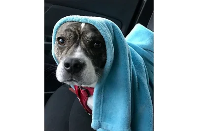 Ferienwohnung Willgeroth