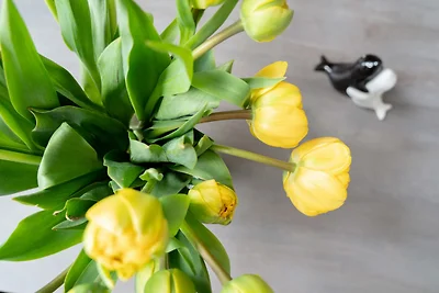 Vakantieappartement Gezinsvakantie Norderney