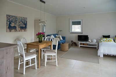 Ferienwohnung IDA