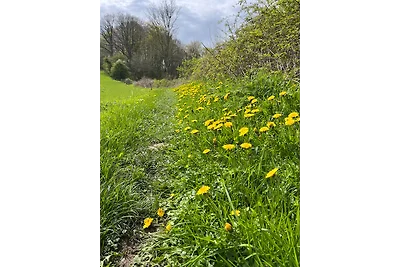 Casa de vacaciones Vacaciones de reposo Grasten