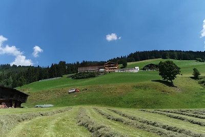 Vakantieappartement Gezinsvakantie Wildschönau