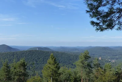 Vakantieappartement Gezinsvakantie Südwestpfalz