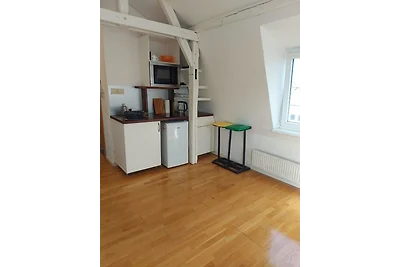Wombat (1-2 Personen)