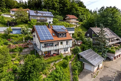 Vakantieappartement Gezinsvakantie Schönau im Schwarzwald