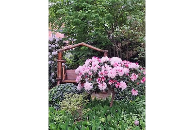 Traumhaftes Reetdachhaus "Grote