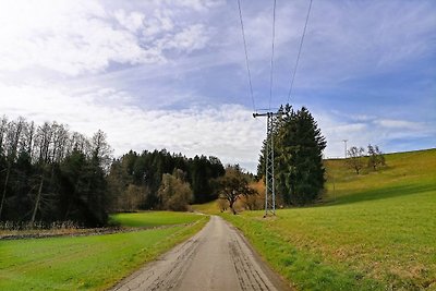 BodenSEE Apartment Neukirch