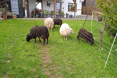 Ferienwohnung Rurseeidyll