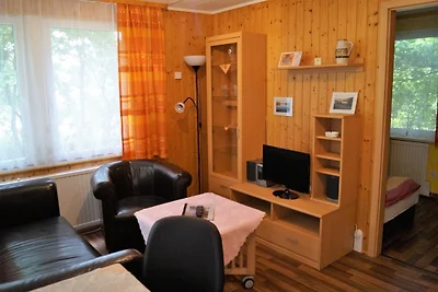 Vakantiehuis Ontspannende vakantie Friedland