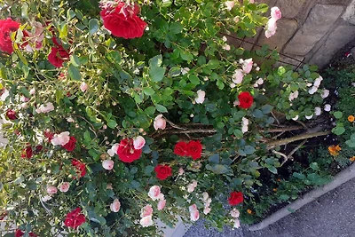 Appartamento Vacanza con famiglia Neustadt