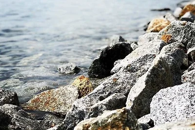 Fewo-Exklusiv "Seeblick"
