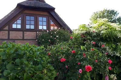 Appartamento Vacanza con famiglia Fuhlendorf