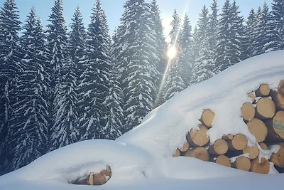 Vakantieappartement Gezinsvakantie Berwang