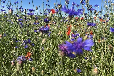 Apartamento Vacaciones familiares Lalendorf