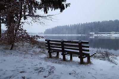 Waldsee Ferienhaus mit Kamin,W-Lan