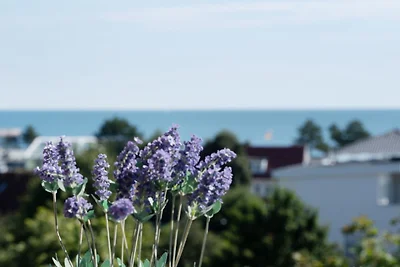 Berolina Seeblick