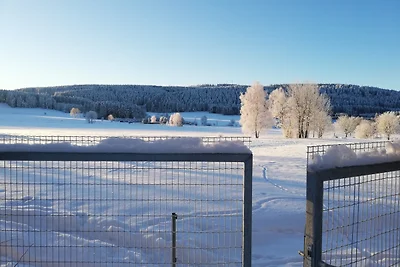 Vakantieappartement Gezinsvakantie Steinberg
