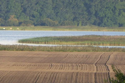 Gut Rattelvitz, Parterre A OST