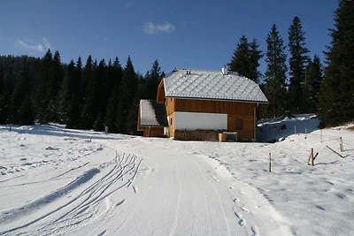 Hüttendorf Flattnitz - Typ C