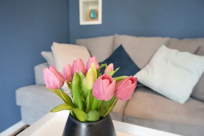 Haus an der Düne Wohnung 9