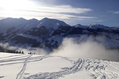 Romantische Almhütte in Alleinlage