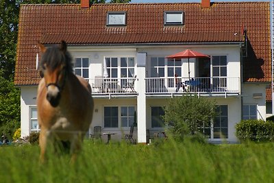 Vakantieappartement Gezinsvakantie Bergen auf Rügen