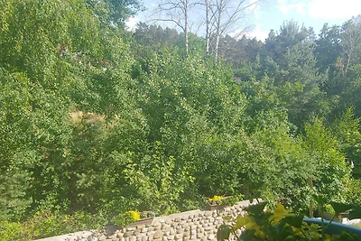 Appartamento Vacanza con famiglia Lachendorf