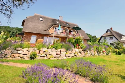 Reet - Maisonete - Hausteil